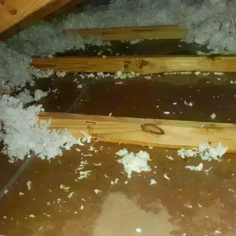 Attic Water Damage in Pembroke, NC