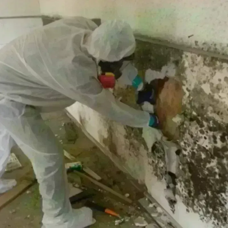 Mold Remediation and Removal in Pembroke, NC