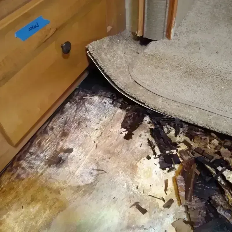 Best Wood Floor Water Damage Service in Pembroke, NC